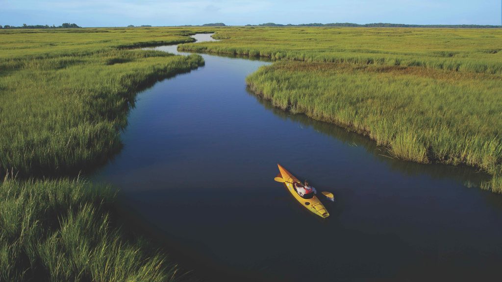 yellow kayak on waterway surrounded by green marshland
