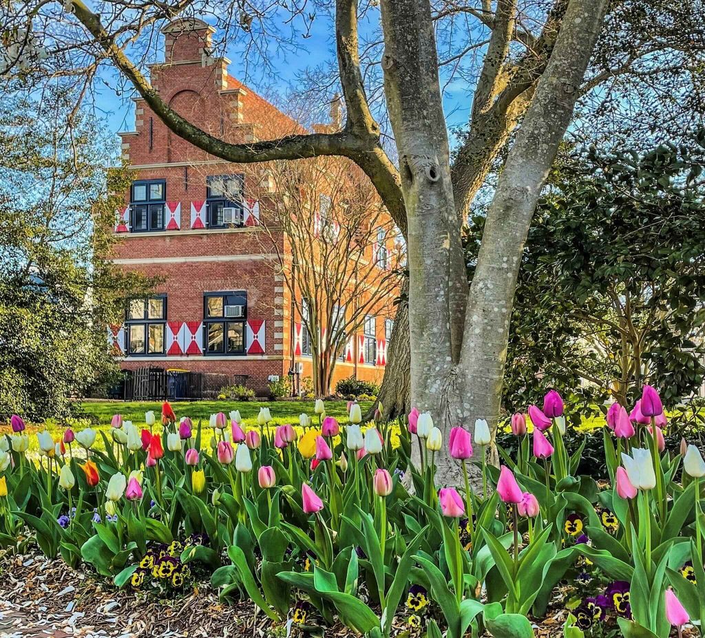 Zwaanendael Museum with tulips in foreground. Photo credit: Delaware Division of Historical and Cultural Affairs